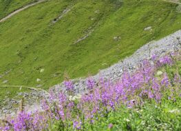 011 - wunderschöne wanderwege